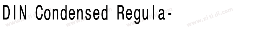 DIN Condensed Regula字体转换 DIN Condensed Regula字体转换
